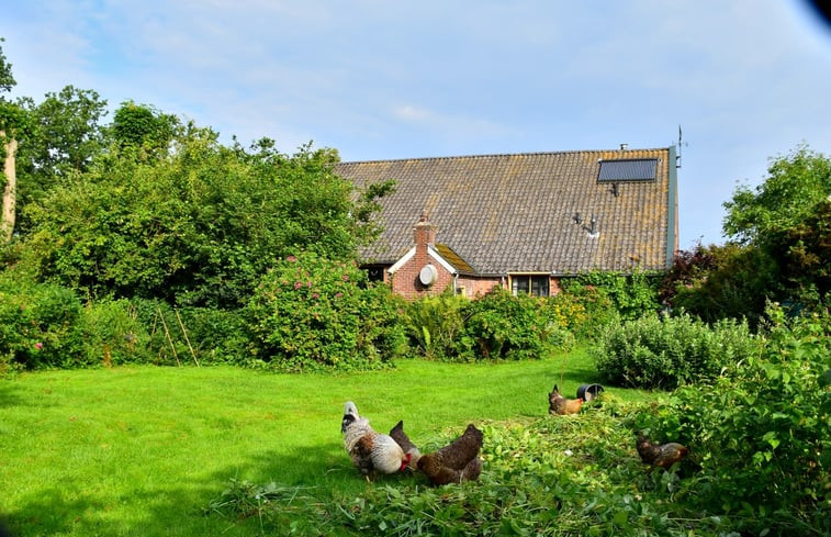 Natuurhuisje in Odoornerveen