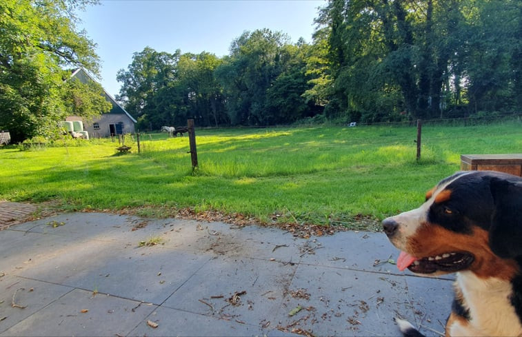 Natuurhuisje in Enschede