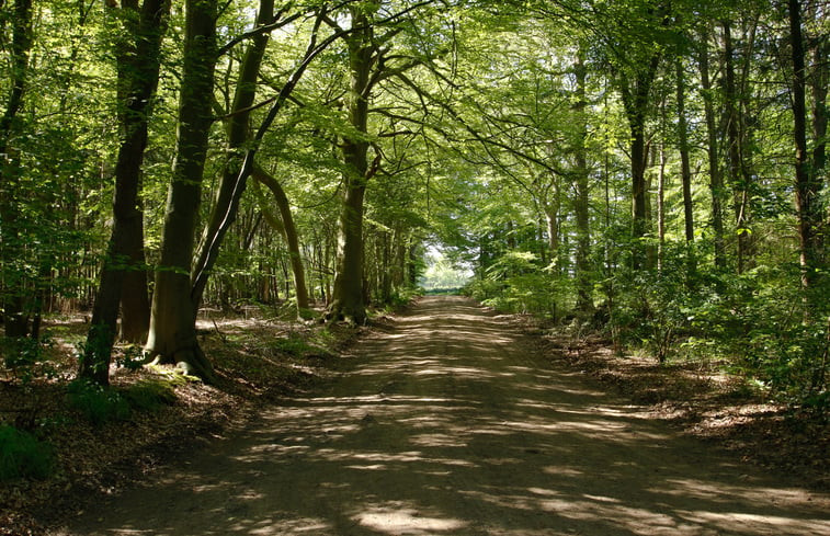 Natuurhuisje in Oosterhesselen