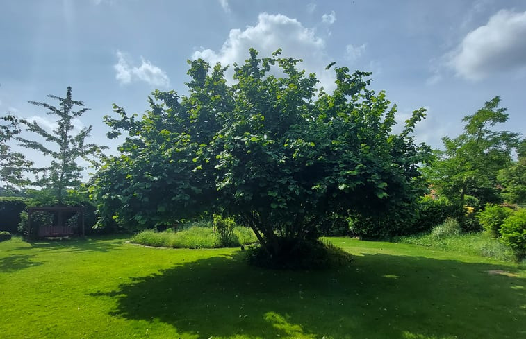 Natuurhuisje in Well (L)