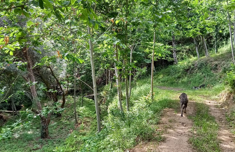 Natuurhuisje in Cabeceiras do Basto