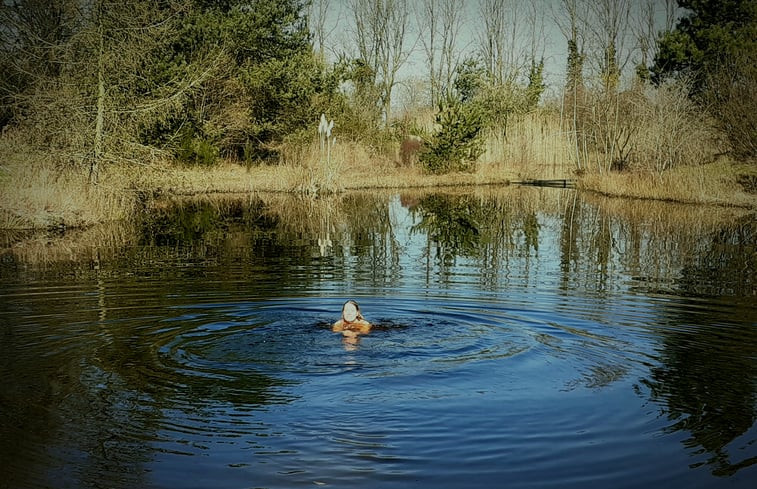 Natuurhuisje in Tonden