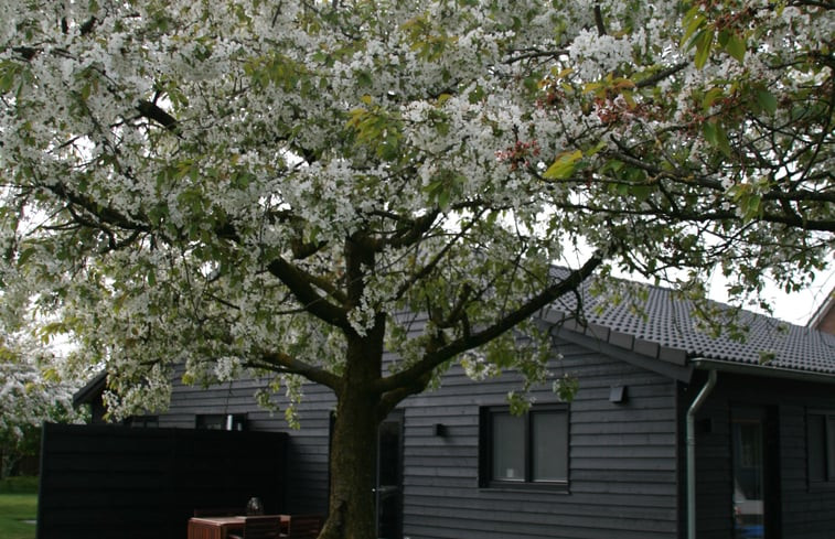 Natuurhuisje in Herveld