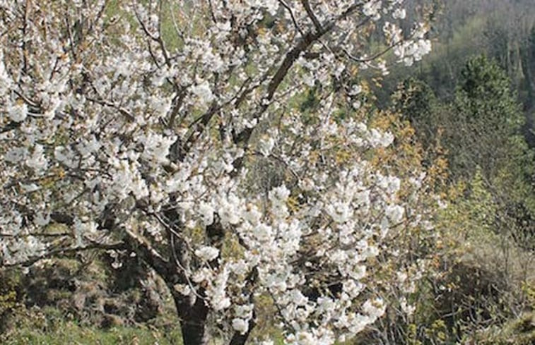 Natuurhuisje in Borzonasca