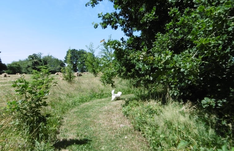 Natuurhuisje in Thuboeuf