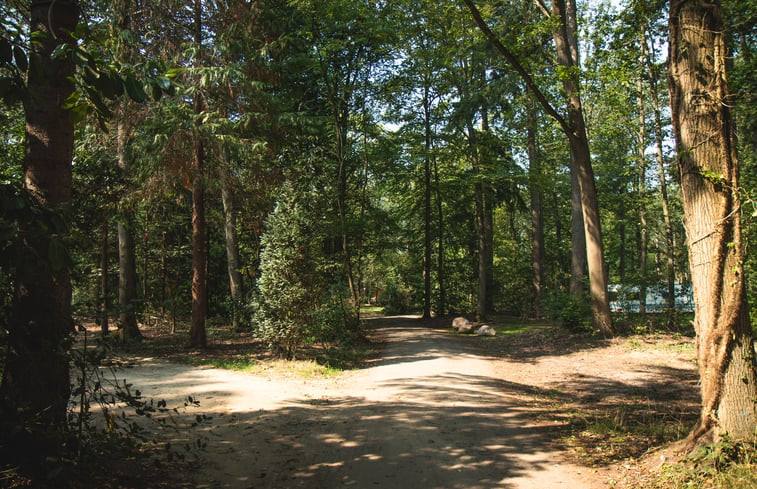 Natuurhuisje in Papenvoort