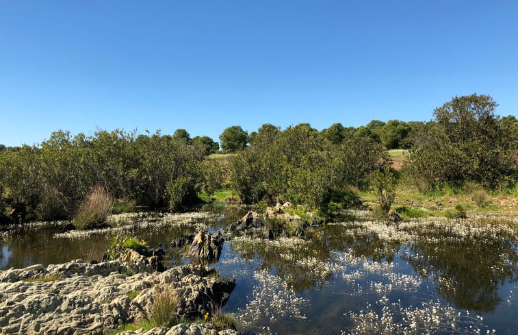 Natuurhuisje in Alcaria Ruiva