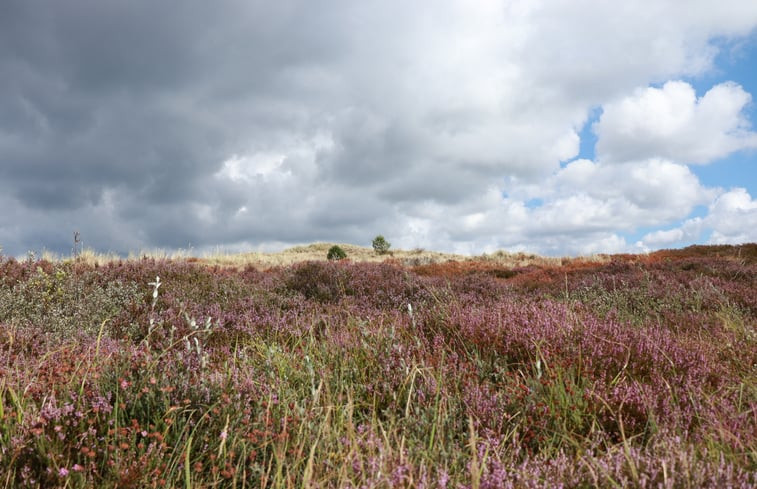 Natuurhuisje in Schoorl