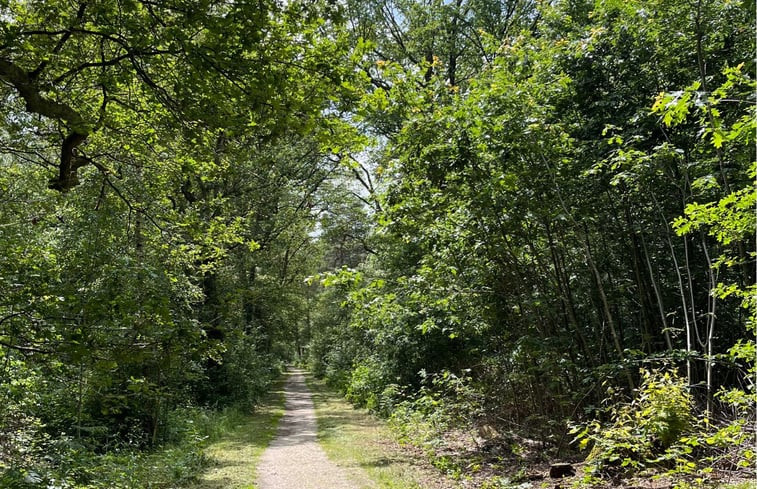 Natuurhuisje in Velden - Schandelo