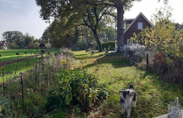 Natuurhuisje in Hengelo gld