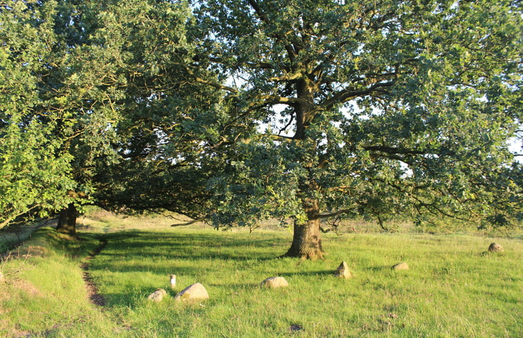 Natuurhuisje in Exloo