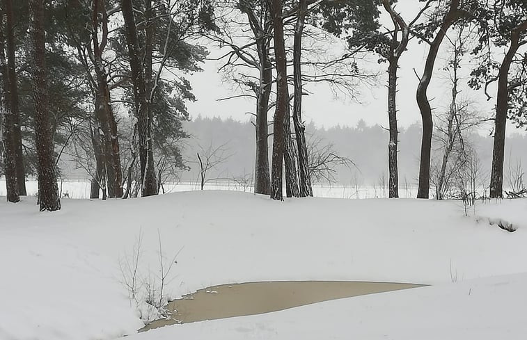 Natuurhuisje in Lochem