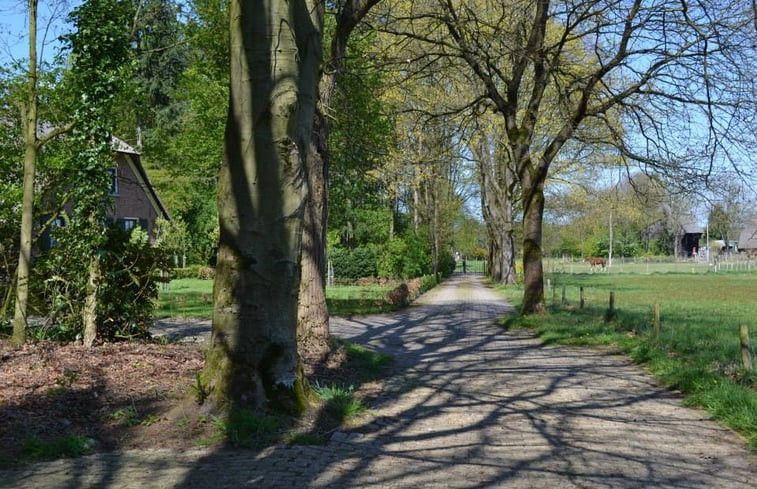 Natuurhuisje in Emst