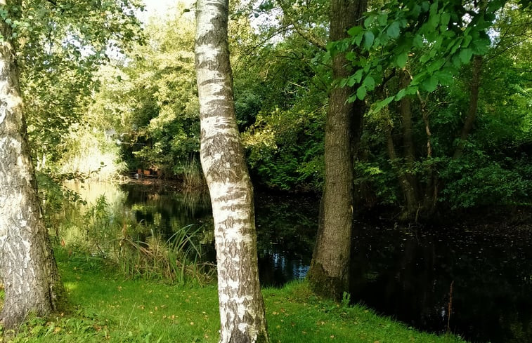 Natuurhuisje in Kollumerzwaag