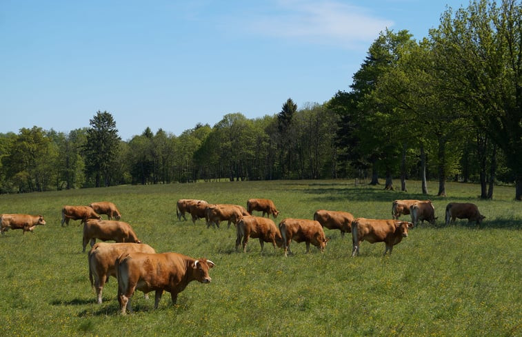 Natuurhuisje in Saint Laurent sur Gorre