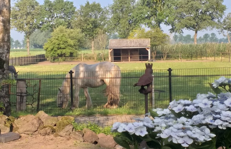 Natuurhuisje in Langenboom