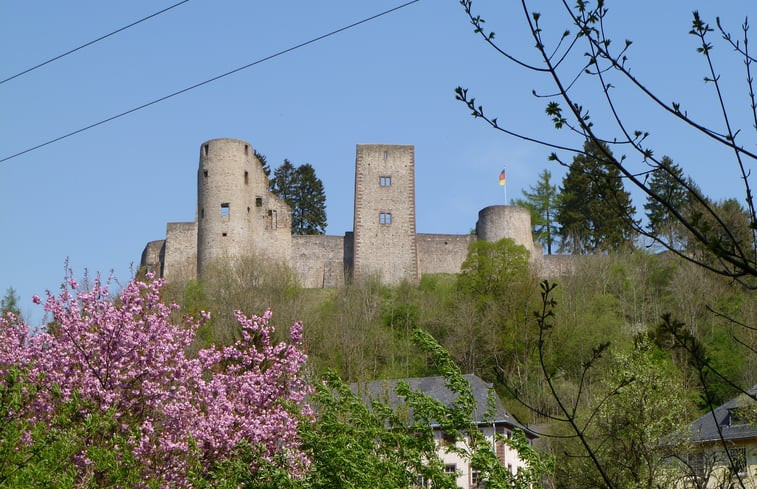 Natuurhuisje in Schönecken