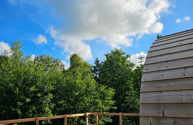 Natuurhuisje in Westergeest