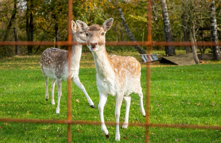 Natuurhuisje in Kerkrade