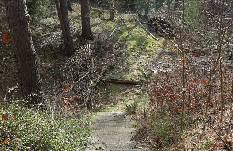 Natuurhuisje in Bad Schmiedeberg