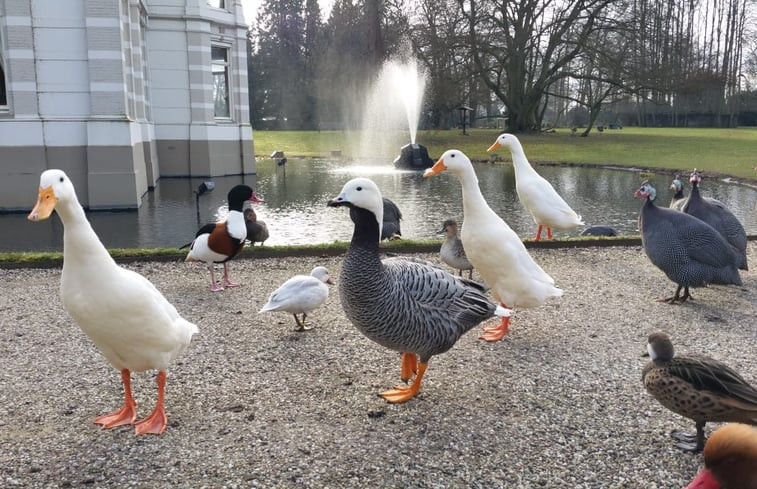 Natuurhuisje in Terwolde