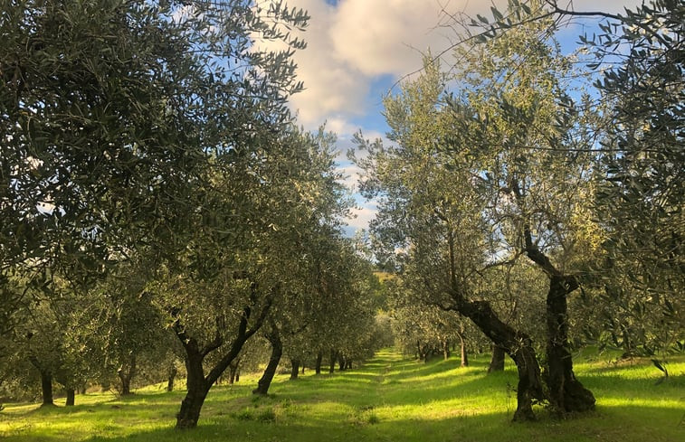 Natuurhuisje in Montespertoli