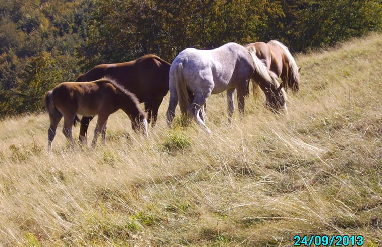 Natuurhuisje in Pontremoli