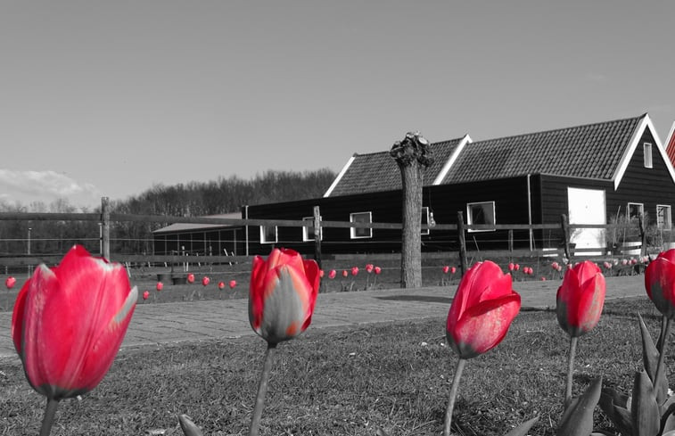 Natuurhuisje in Noordgouwe