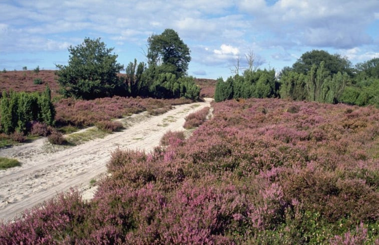 Natuurhuisje in Haarle