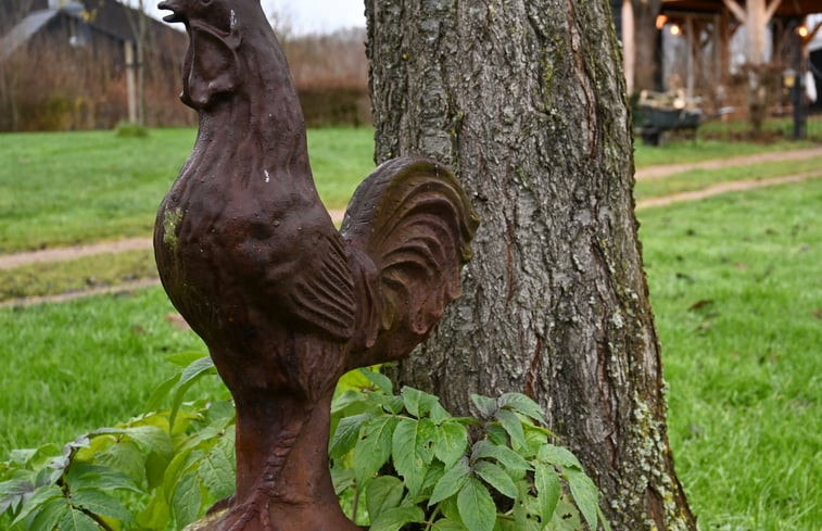 Natuurhuisje in Laren