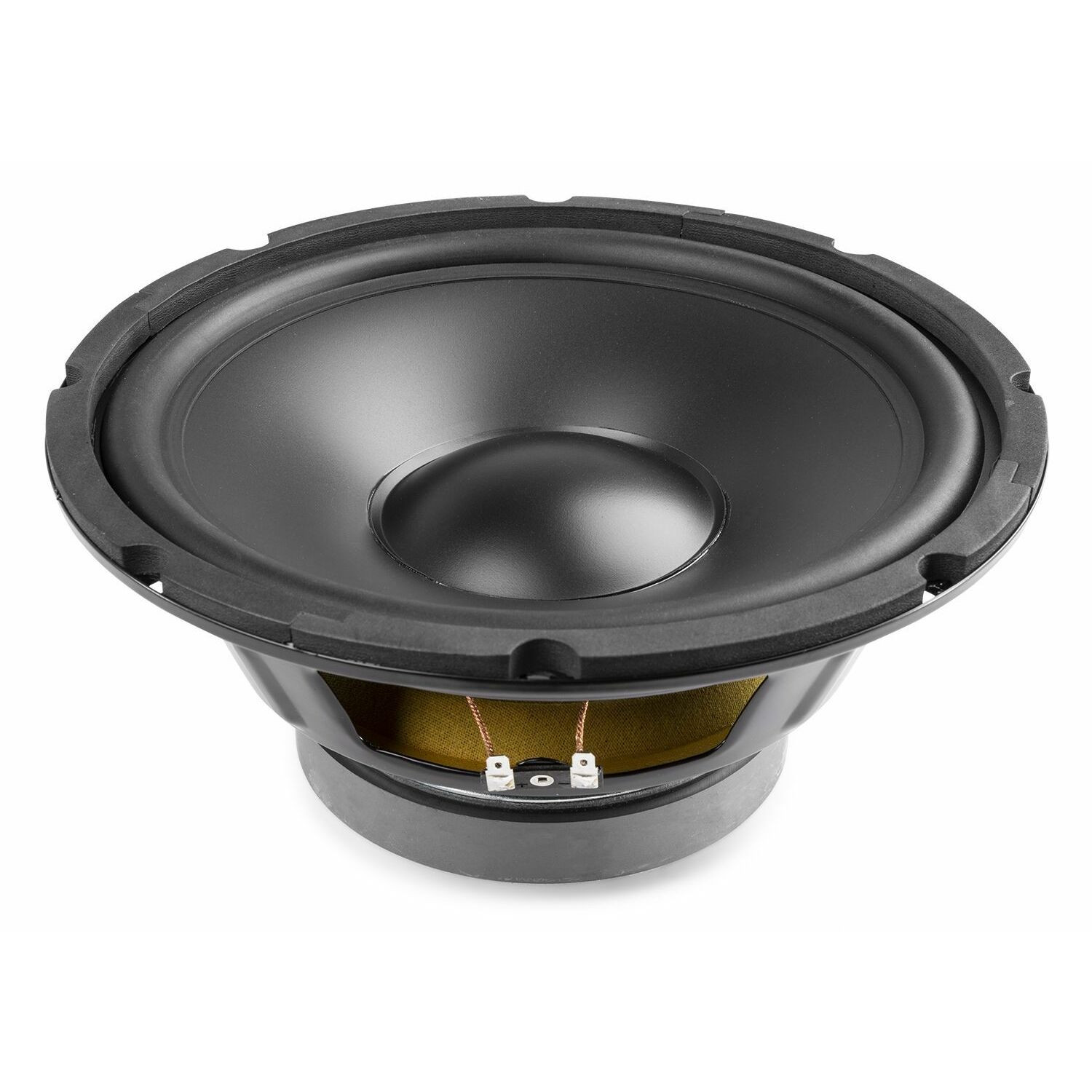 Retourdeal - Fenton 10 inch HiFi Woofer met PP conus