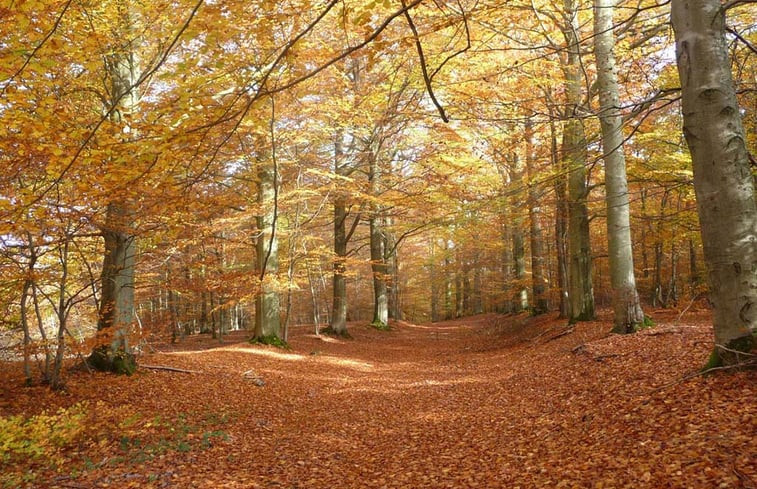 Natuurhuisje in Rienne (Gedinne)