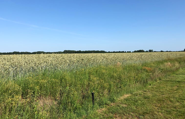 Natuurhuisje in Gasteren