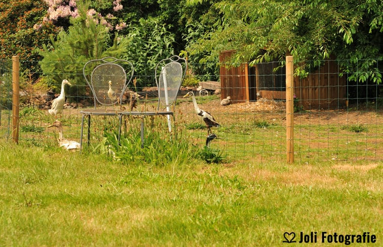 Natuurhuisje in Ter Apel