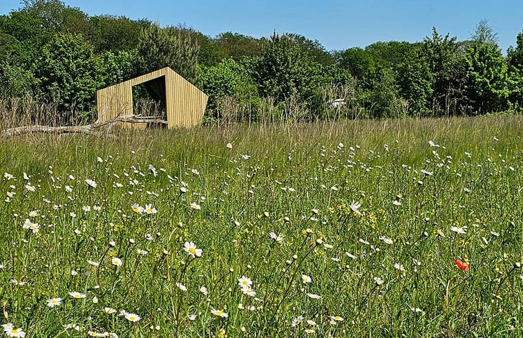 Natuurhuisje in Lemele