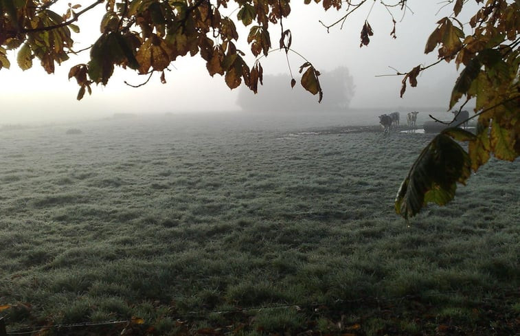 Natuurhuisje in Boijl