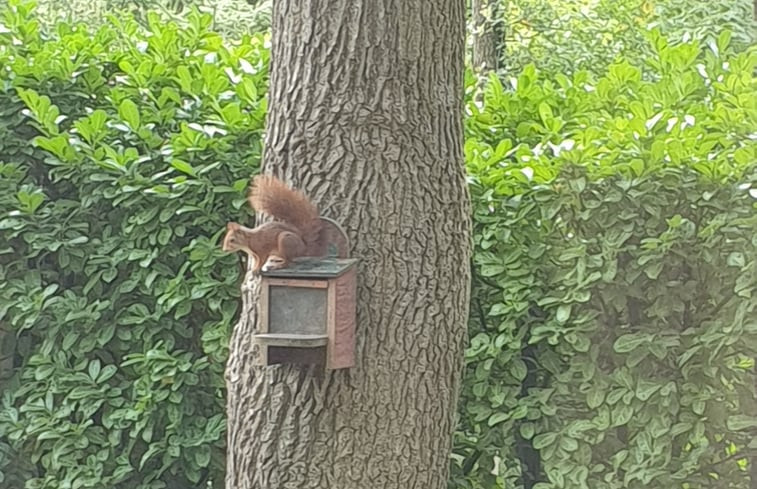 Natuurhuisje in Winterswijk