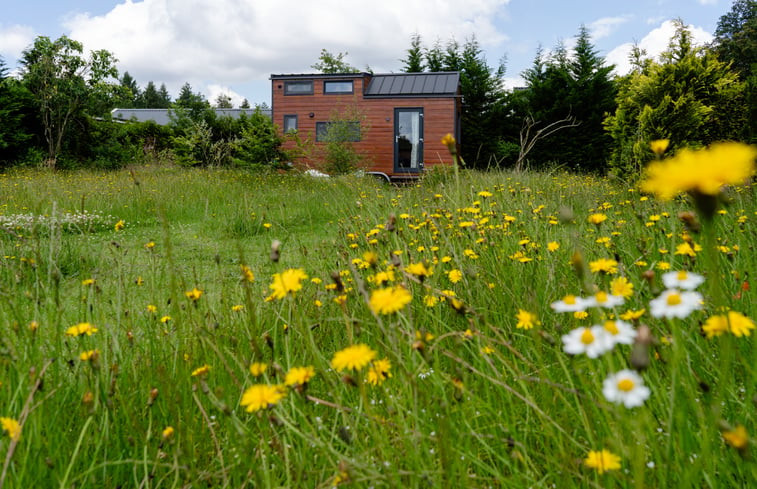 Natuurhuisje in Putten