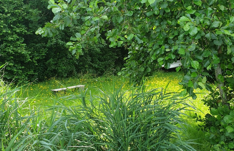 Natuurhuisje in Steendam