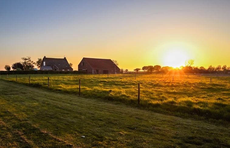 Natuurhuisje in Scharendijke