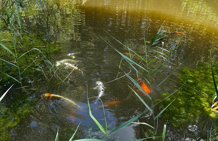 Natuurhuisje in Westmeerbeek