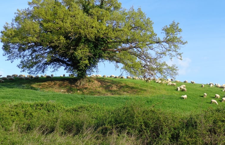 Natuurhuisje in Saturnia