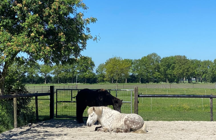 Natuurhuisje in Elp