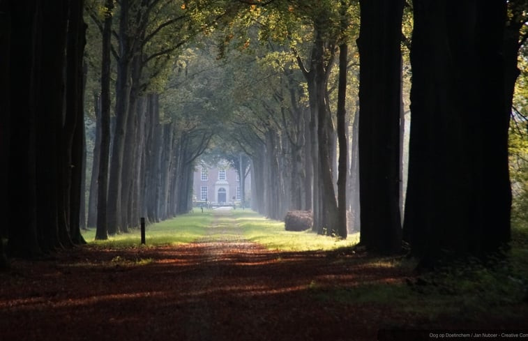 Natuurhuisje in Westendorp