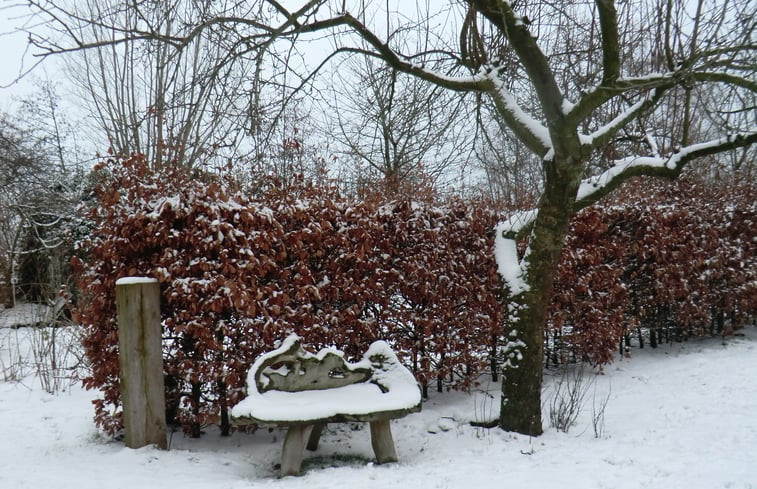 Natuurhuisje in Hulshorst