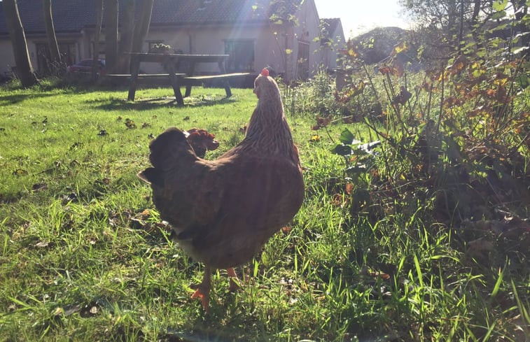 Natuurhuisje in Biggekerke