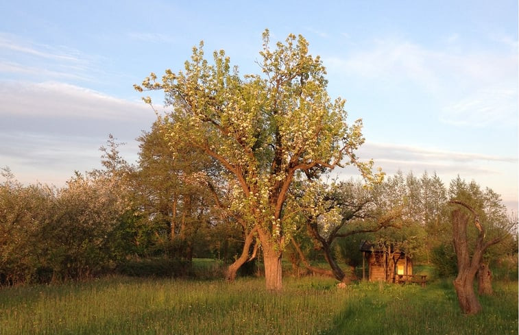 Natuurhuisje in de Bokkebuurt