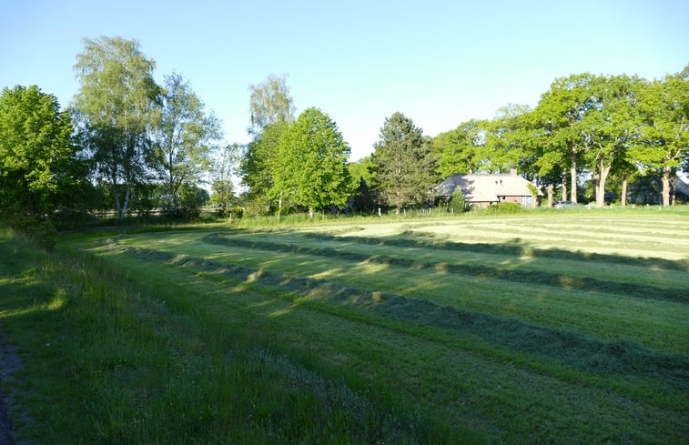 Natuurhuisje in Ruinen