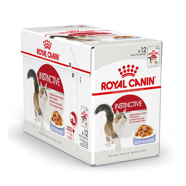 Royal Canin Instinctive in jelly natvoer kat (85 g) 4 dozen (48 x 85 g)