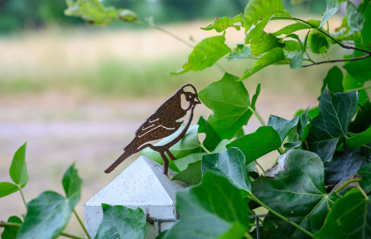 Natuurhuisje in Nieuw Balinge